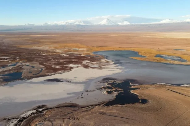 Lilac Solutions Lanza Gen 5: Extracción de Litio Más Sostenible y Eficiente