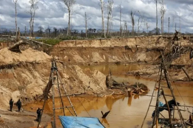 IIMP rechaza prórroga del Reinfo y pide nueva Ley MAPE efectiva