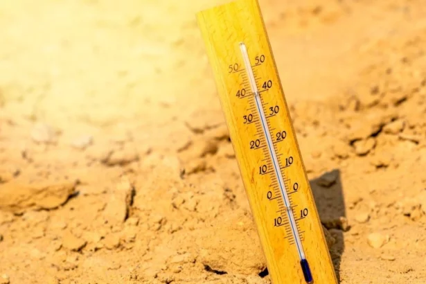 Hasta 36°C este lunes: Alerta Meteorológica por altas temperaturas en 5 regiones