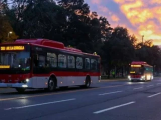 Servicios gratuitos y refuerzos: así operará el transporte público este 16 de noviembre por las Elecciones 2025