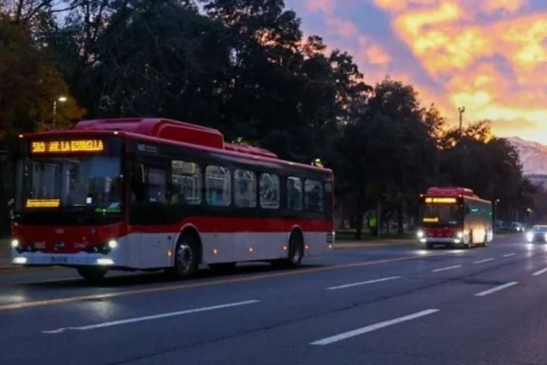 Servicios gratuitos y refuerzos: así operará el transporte público este 16 de noviembre por las Elecciones 2025