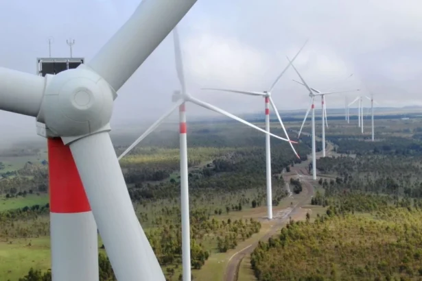 Superintendencia sanciona a parque eólico en O’Higgins por incumplimientos ambientales graves