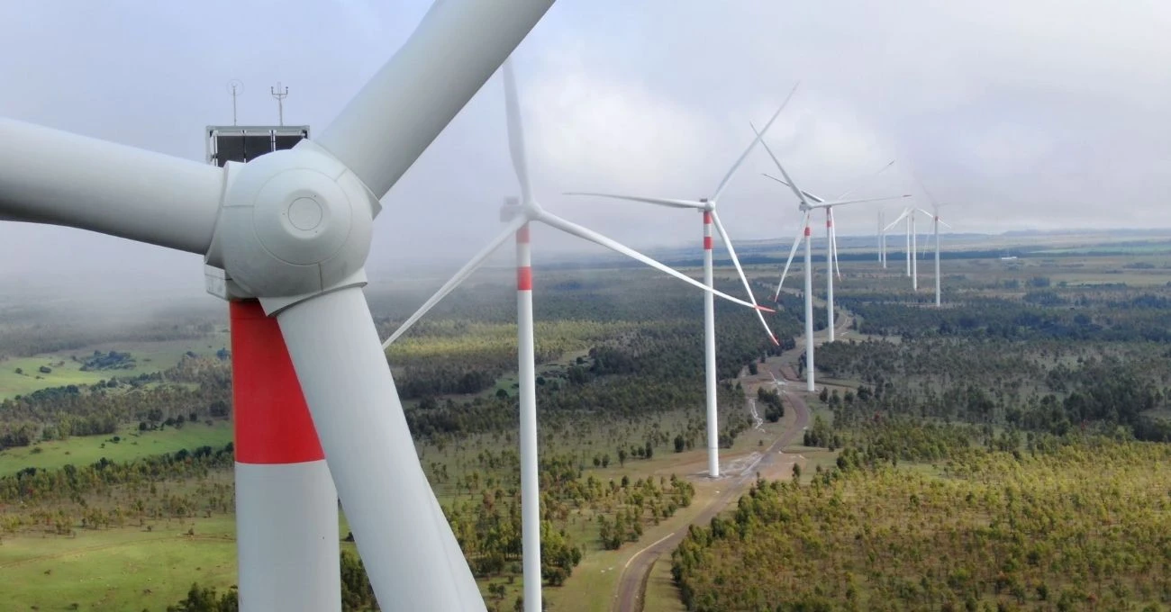 Superintendencia sanciona a parque eólico en O’Higgins por incumplimientos ambientales graves Superintendencia sanciona a parque eólico en O’Higgins por incumplimientos ambientales graves