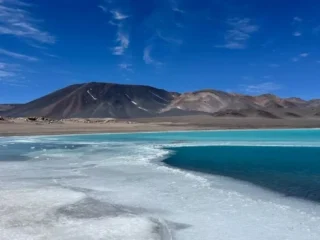 Red de salares es una realidad: ministros aprueban crear seis áreas protegidas para resguardar diez ecosistemas