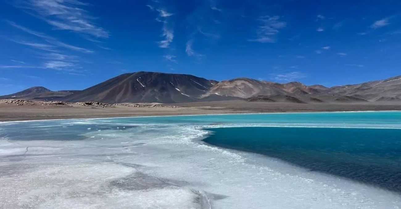 Red de salares es una realidad: ministros aprueban crear seis áreas protegidas para resguardar diez ecosistemas