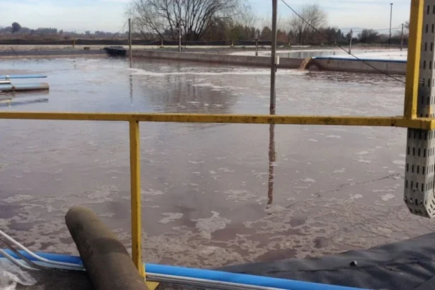 SMA lanza plataforma para monitorear residuos líquidos y fortalecer cumplimiento ambiental