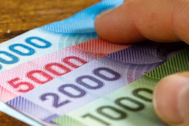 IPS llama a actualizar cargas familiares antes de diciembre para acceder al Bono Marzo 2026