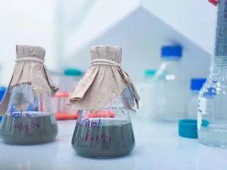 Microorganismos chilenos revolucionan minería al extraer cobalto sustentable para electromovilidad