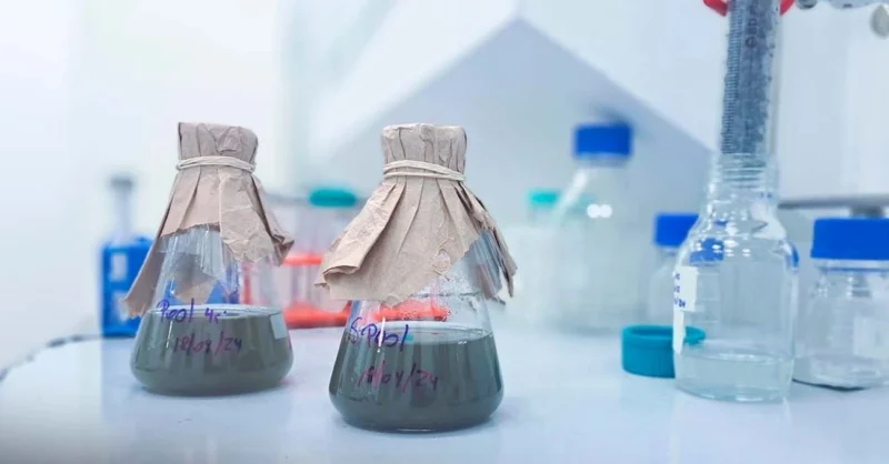 Microorganismos chilenos revolucionan minería al extraer cobalto sustentable para electromovilidad