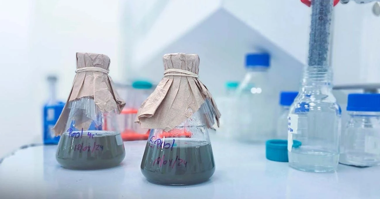 Microorganismos chilenos revolucionan minería al extraer cobalto sustentable para electromovilidad