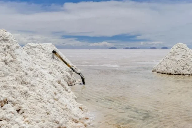 Sudamérica lidera transición energética con minerales clave como litio y cobre