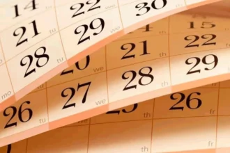 Revisa cuántos feriados quedan para cerrar el 2025