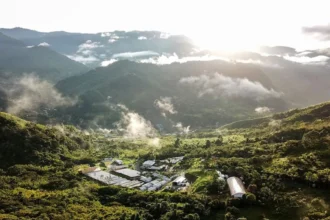 SolGold acelera desarrollo del proyecto Cascabel con producción prevista para 2028