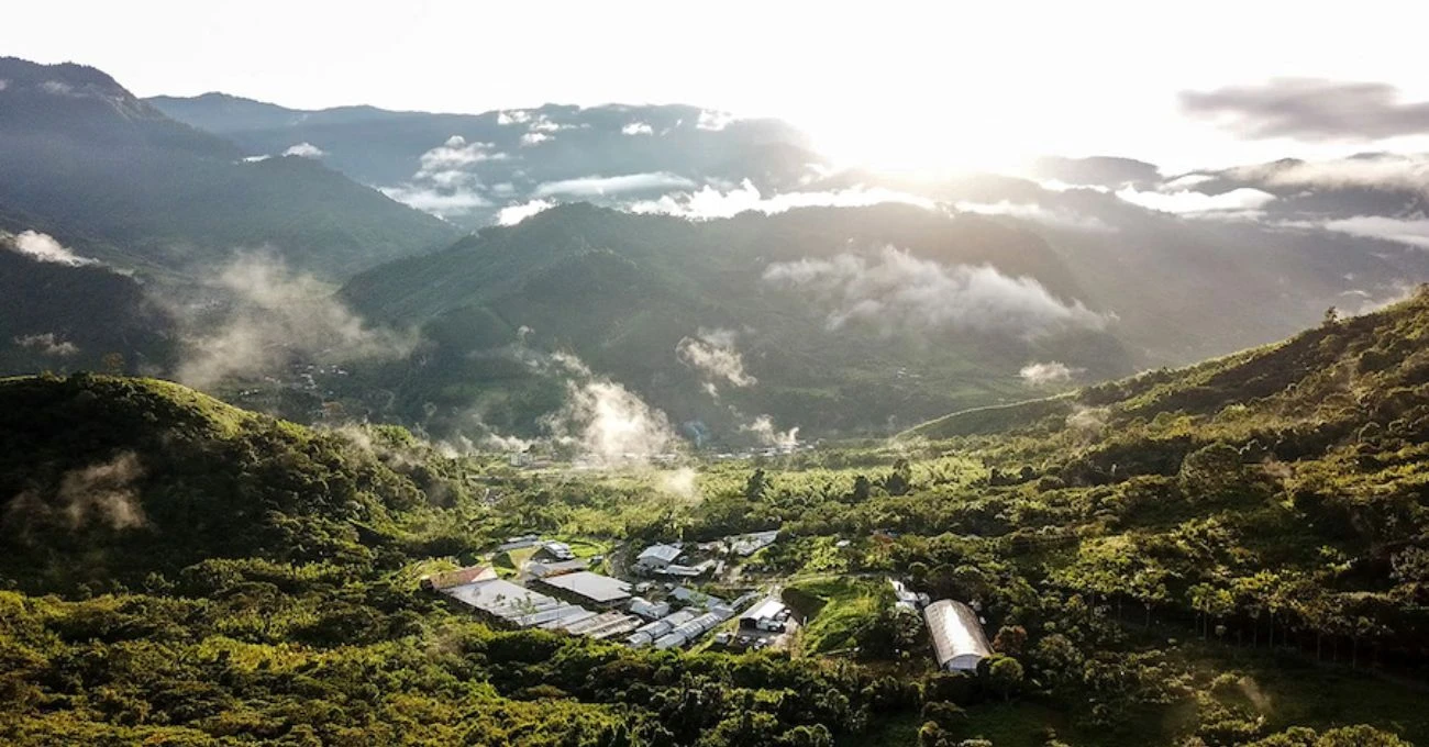 SolGold acelera desarrollo del proyecto Cascabel con producción prevista para 2028