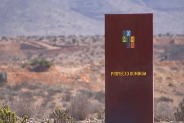 Cámara Minera respalda a Dominga y critica demoras en su aprobación