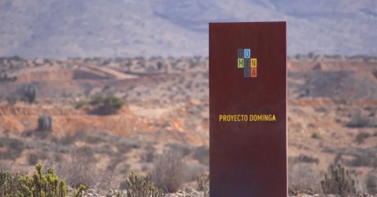 Cámara Minera respalda a Dominga y critica demoras en su aprobación