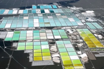 Tianqi Lithium considera acudir a arbitraje internacional por acuerdos entre SQM y Codelco