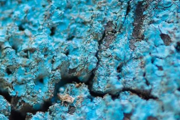 Chile apuesta por el cobalto en minería sustentable y transición energética global