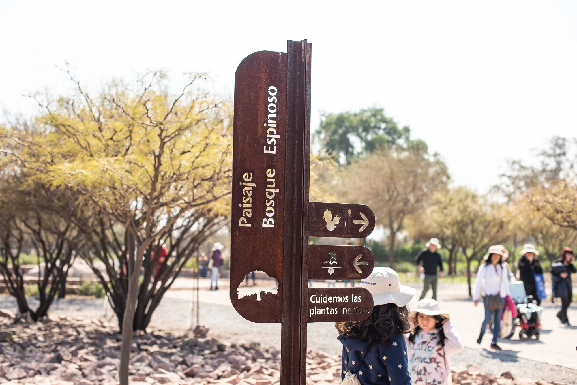 Parque Jardín Botánico Quilapilún de Anglo American es acreditado internacionalmente