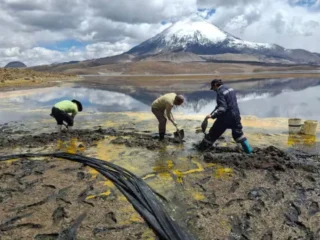 Derrame en Lago Chungará escala en gravedad: Conaf confirma muerte de fauna protegida y riesgo para más de 80 aves