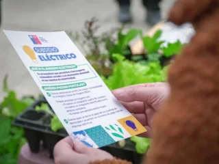 Subsidio Eléctrico 2026: quiénes deben actualizar sus datos para no perder el beneficio