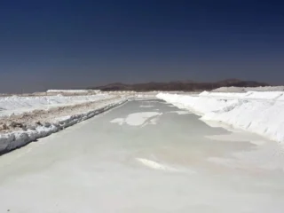 Tianqi no se rinde: CEO de la firma china no descarta ir a tribunales internacionales por acuerdo SQM-Codelco