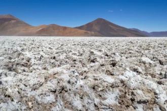 Industria del litio apuesta por el crecimiento del procesamiento downstream