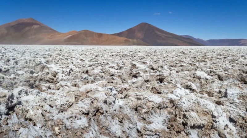 Industria del litio apuesta por el crecimiento del procesamiento downstream