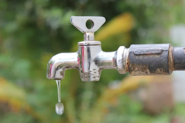 Arsénico en el agua: cuáles son las diferencias clave entre el suministro de red y pozo