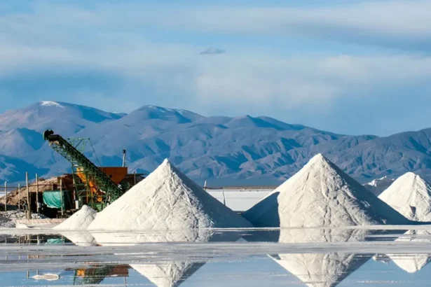 SEA publica segunda edición de “Guía para la descripción de proyectos de explotación de litio y otras sustancias minerales desde salares en el SEIA”