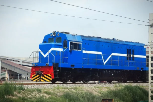 El ferrocarril de carga: un actor relegado en la logística nacional