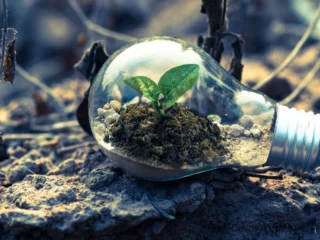 Hasta $17 millones: así es el programa Semilla Inicia que ayuda a financiar proyectos de emprendedores