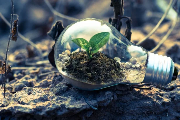 Hasta $17 millones: así es el programa Semilla Inicia que ayuda a financiar proyectos de emprendedores