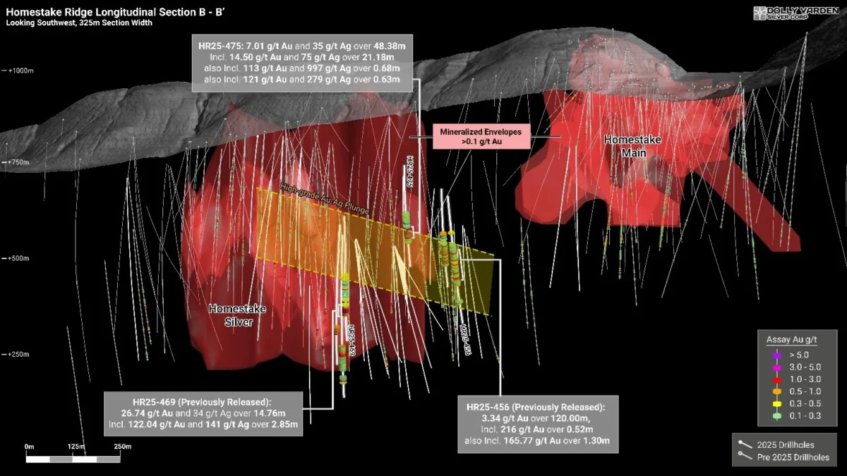 Dolly Varden Silver intersecta 14,50 g/t de oro sobre 21,18 metros, en el depósito de plata Homestake