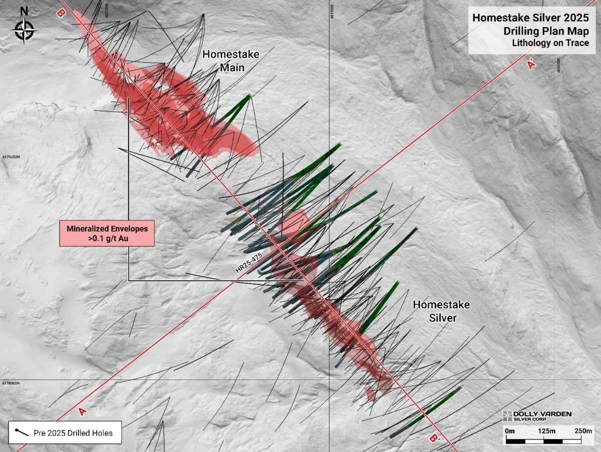 Dolly Varden Silver intersecta 14,50 g/t de oro sobre 21,18 metros, en el depósito de plata Homestake