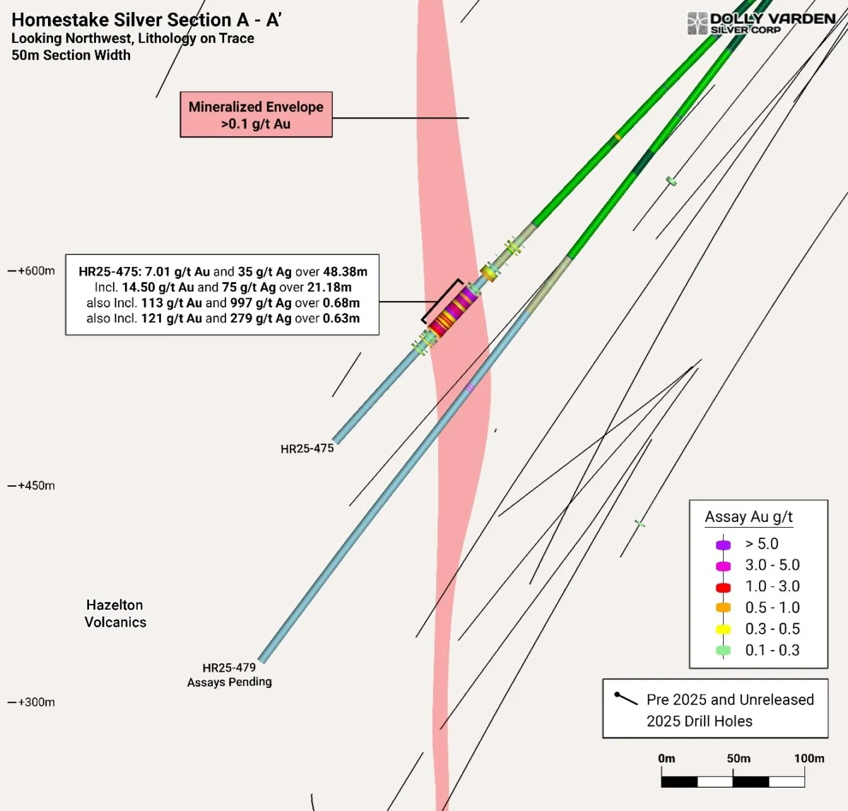 Dolly Varden Silver intersecta 14,50 g/t de oro sobre 21,18 metros, en el depósito de plata Homestake