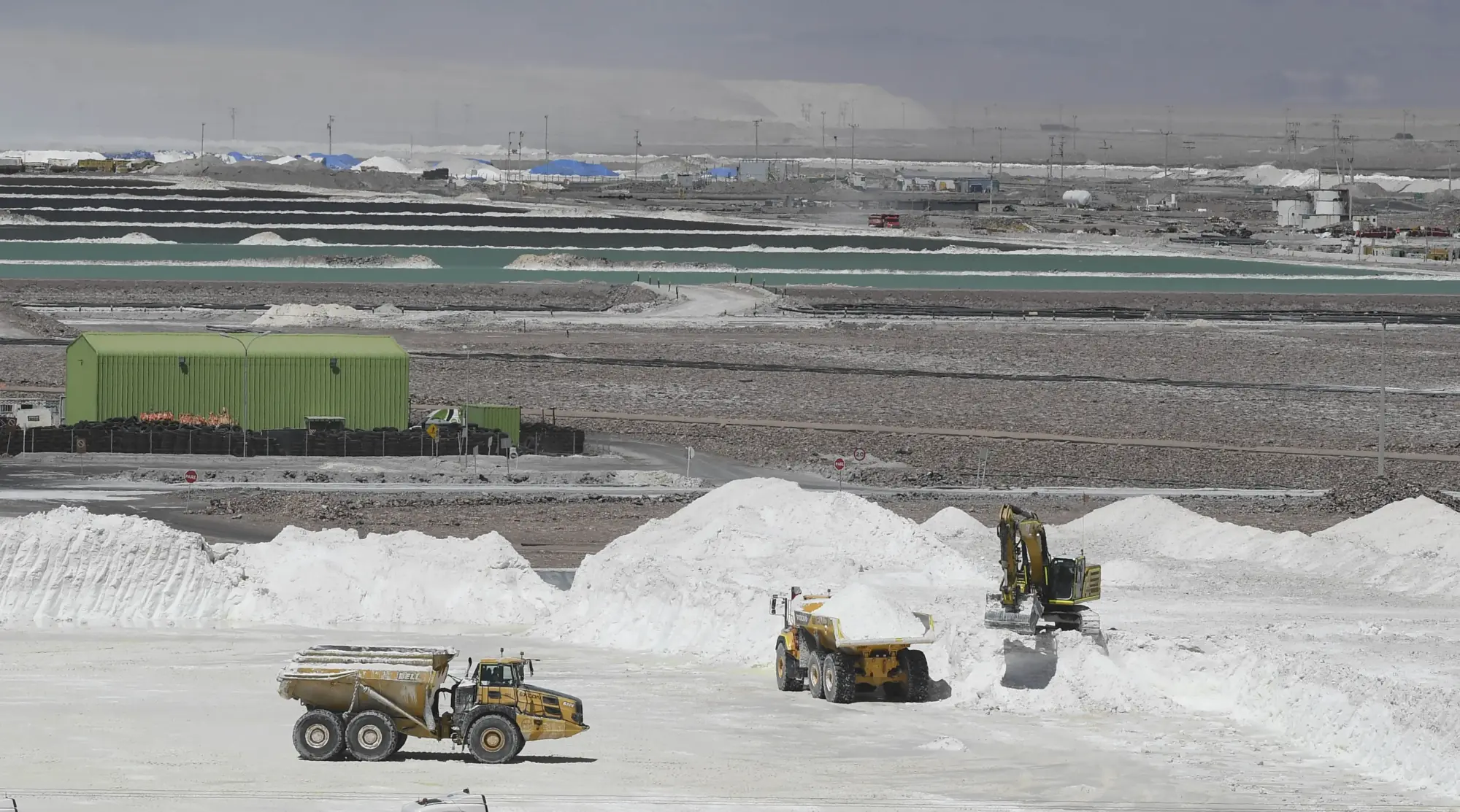 Novaandino Litio: 6 directores y 2 fechas que marcan el nuevo gigante del Salar de Atacama