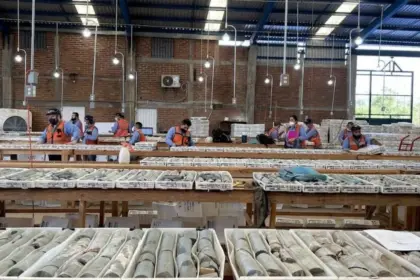 Vizsla Silver adquirirá concesiones estratégicas en torno a Panuco de Fresnillo