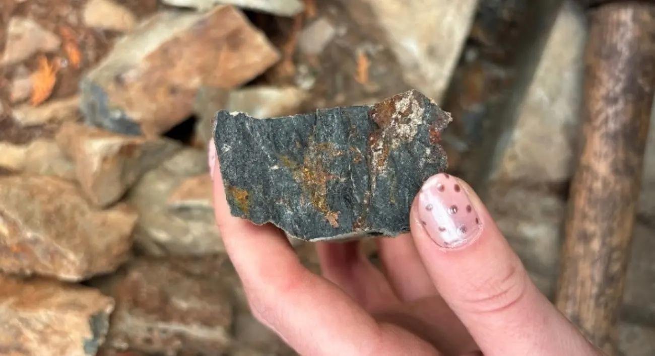 New Age Metals Options Magnet Lake Property ampliando aún más el Proyecto de Oro y Metales Críticos Bonanza Ridge, Distrito Minero de Kenora, Ontario