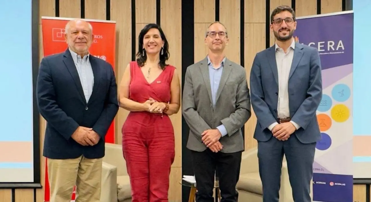 Debate energético final antes de las presidenciales: renovables, transmisión y almacenamiento marcan las diferencias Debate energético final antes de las presidenciales: renovables, transmisión y almacenamiento marcan las diferencias