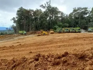Indonesia fija duras multas para frenar minería ilegal en zonas forestales
