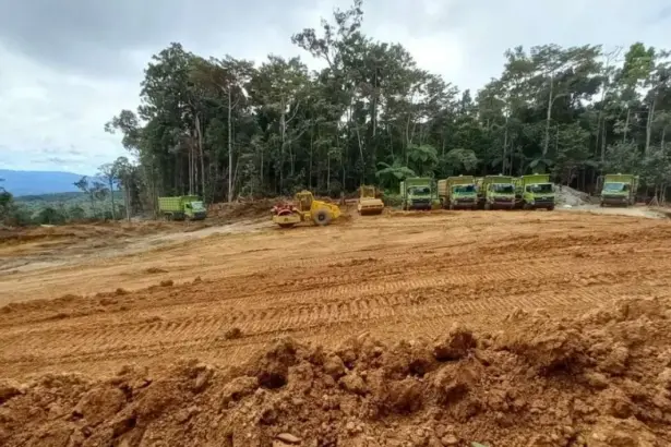 Indonesia fija duras multas para frenar minería ilegal en zonas forestales