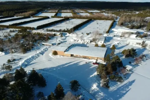 Ashley Gold firma exclusividad para el terreno adyacente al complejo Goliath Gold de NexGold Mining