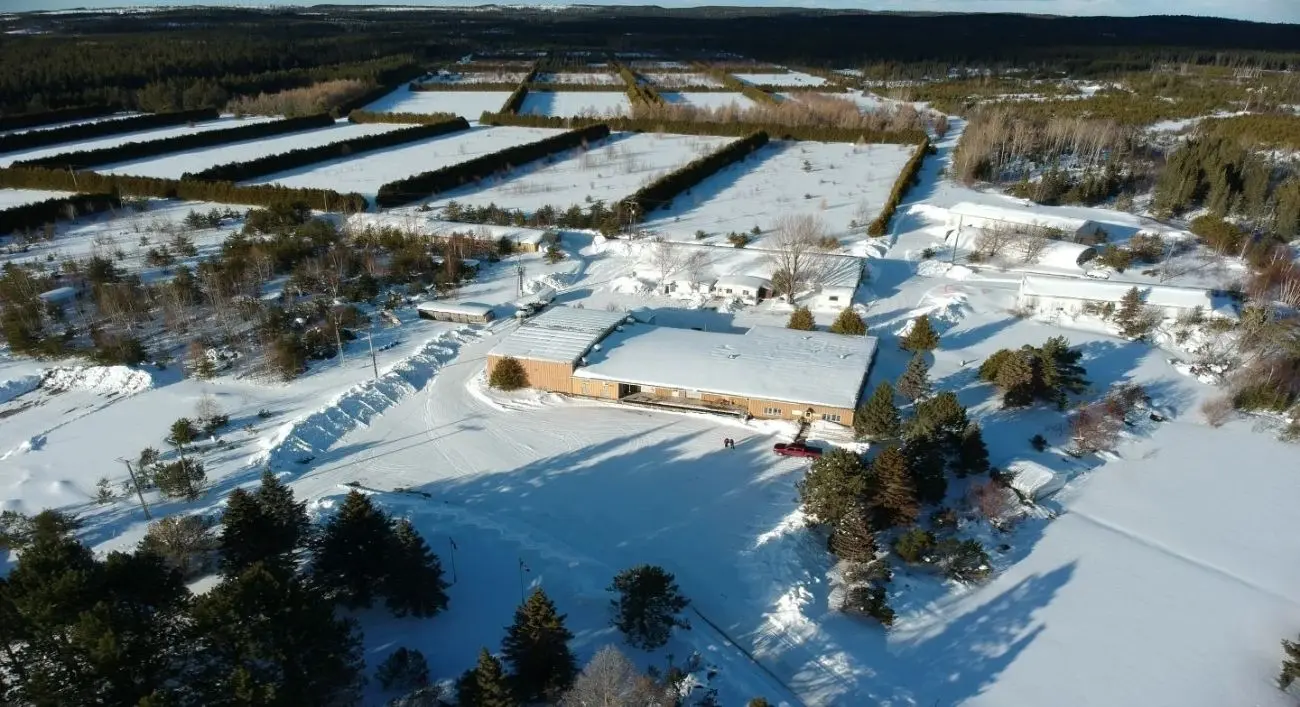 Ashley Gold firma exclusividad para el terreno adyacente al complejo Goliath Gold de NexGold Mining