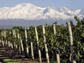 Mendoza mira al cobre para diversificar su economía más allá del vino