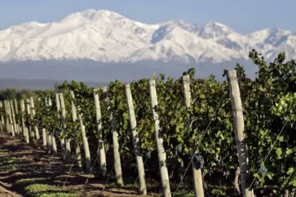 Mendoza mira al cobre para diversificar su economía más allá del vino