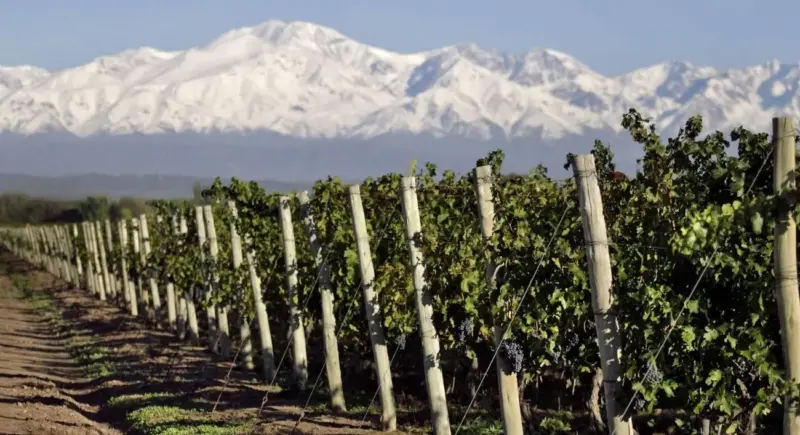 Mendoza mira al cobre para diversificar su economía más allá del vino