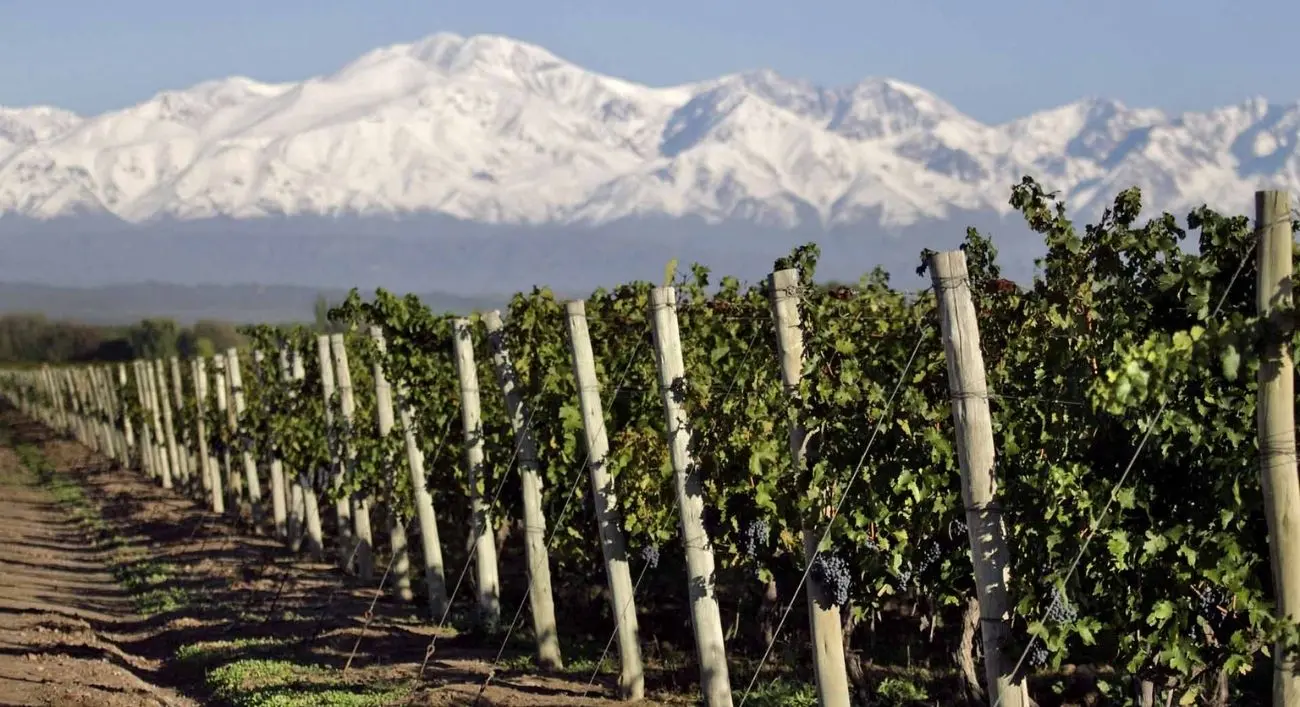 Mendoza mira al cobre para diversificar su economía más allá del vino