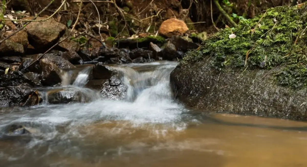 Aclara adelanta renuncia a todos sus derechos de agua: empresa ya no posee derechos hídricos