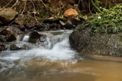 Aclara adelanta renuncia a todos sus derechos de agua: empresa ya no posee derechos hídricos